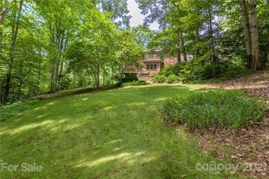 Cleared back yard area