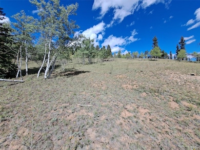 6452 Remington Rd, Como, CO 80456 - photo 5