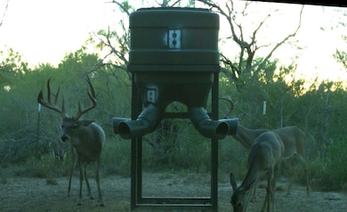 Tx-16, Hebbronville, TX 78361 - photo 7