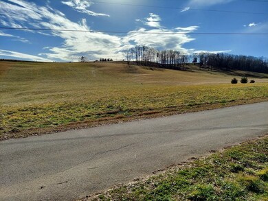5.65 Acres Morgan Rd, Rutledge, TN 37861 - photo 2