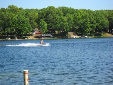 12014 Lake Ave, Bitely, MI 49309 - photo 6