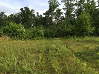 2969 Piney Grove Rd, Somerset, KY 42501 - photo 6