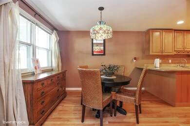282 Jan Drive, Manteno, IL 60950
