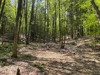 00 Minard Rd, Westminster, VT 05346 - photo 7