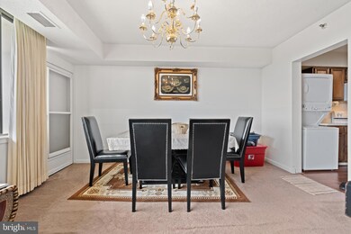 3709 S George Mason Dr unit 1607E, Baileys Crossroads, VA 22041 - photo 5