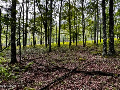 285 Tink Wig Dr, Lackawaxen Township, PA 18428 - photo 4