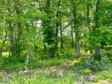 0 Old Kentucy Rd at Jared Rd unit 1191441, Sparta, TN 38583 - photo 7