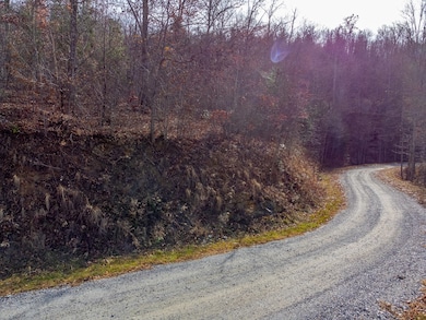 00 Garnet Ridge Preserve, Sylva, NC 28779 - photo 6