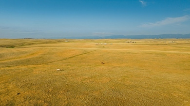 004_dji_20250718080013_0235_d_379