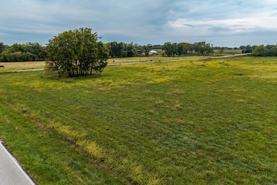 003 Locust Rd, Carl Junction, MO 64834 - photo 4