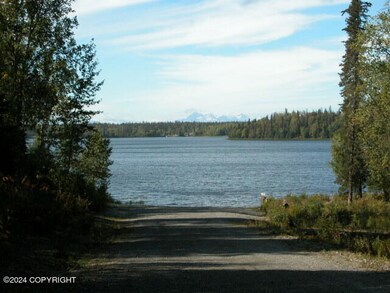 Island Lake Lot (6)