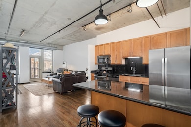 SkyTech Lofts unit 722S, Chicago, IL 60607 - photo 3