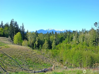 1000 Lemmon Rd, Port Angeles, WA 98362 - photo 2