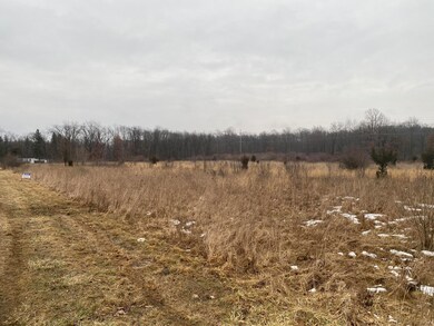 V/L Watkins Rd, Battle Creek, MI 49015 - photo 4