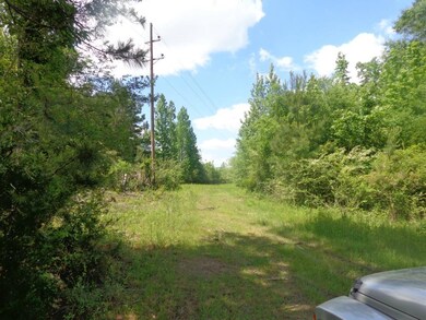 0 Pico Rd, Franklinton, LA 70438 - photo 5