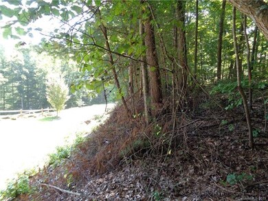 51 Morning Star Dr unit 27, Leicester, NC 28748 - photo 7