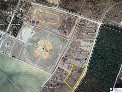 Lot 25 Norwood Farms, McBee, SC 29101 - photo 3