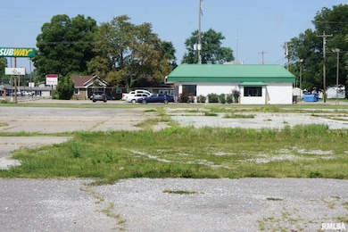 911 E 5th St, Metropolis, IL 62960 - photo 3