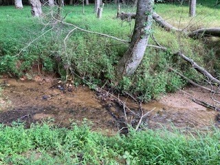 LT 3505R Castle Ct, Ellijay, GA 30540 - photo 2