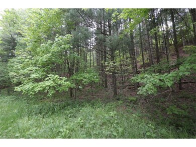 20104 Township Road 306, Coshocton, OH 43812 - photo 6