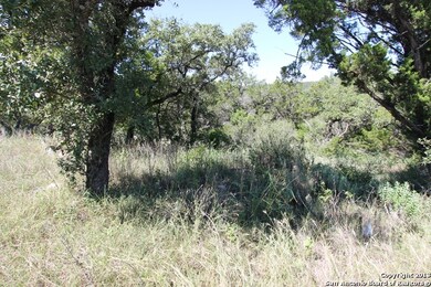 19319 Terra Brook, Northwest Side, TX 78255 - photo 3