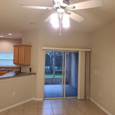 9907 Serona Bluff Way, Tampa, FL 33619 - photo 5