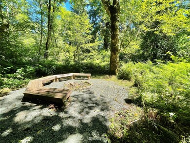 80 W Salmonberry Dr, Elma, WA 98541 - photo 6