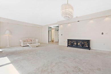 79 Florence St unit 210S, Chestnut Hill, MA 02467 - photo 3