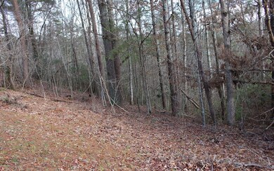Additional View