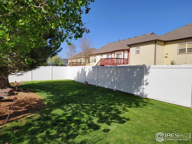 Great shade trees in the backyard.