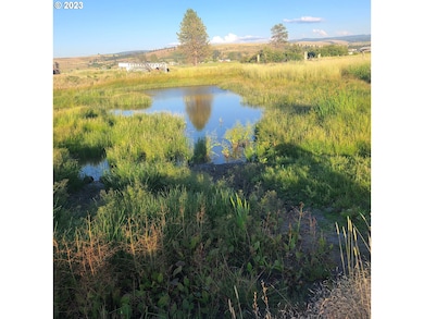 70775 Middle Rd, Elgin, OR 97827 - photo 4