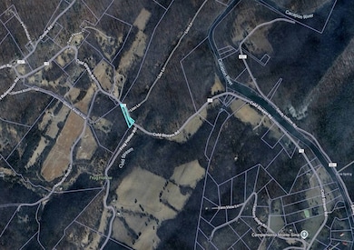 3949 Cold Stream Rd, Capon Bridge, WV 26711 - photo 3