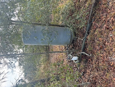 00 Lake Park St Tract 1, Douglas, GA 31533 - photo 3