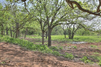 155 Moellering Rd, Fredericksburg, TX 78624 - photo 4