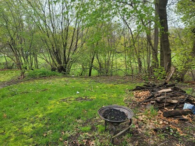 1135 Lathrop St, Lansing, MI 48912 - photo 4