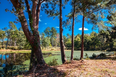 6355 Cobbham Rd, Appling, GA 30802 - photo 4