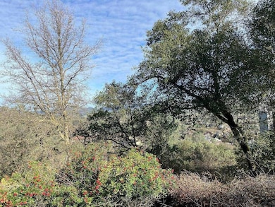 4881 Pueblo Trail, Copperopolis, CA 95229 - photo 7