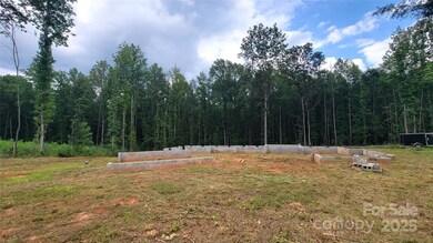 4299 Brandy Creek Ct, Clover, SC 29710 - photo 7