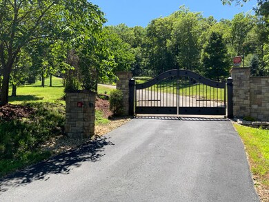 000 Breathless View Dr, Ruth B Rural Township, MO 65686 - photo 2