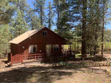 7 Pine Glen, Cloudcroft, NM 88317 - photo 4