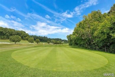 2240 Fairway, High Ridge, MO 63049 - photo 4