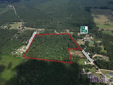 TBD H-5 Pea Ridge Rd, Albany, LA 70711 - photo 4