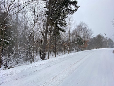 Lot 225 W Birch Ln, Beaver Cove, ME 04441 - photo 3