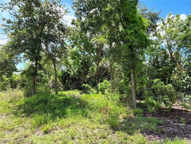 Lot Is Cleared - Some Small Oaks In Back