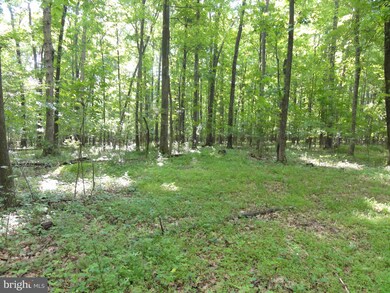 0 Purcellville Rd unit VALO415100, Purcellville, VA 20132 - photo 3