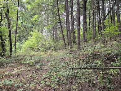 1225 SW Ryan Allen Rd, Stevenson, WA 98648 - photo 7