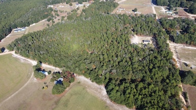 00 Tosha Ln, Salley, SC 29137 - photo 3