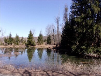 7481 Robinson Rd, Arcade, NY 14009 - photo 2