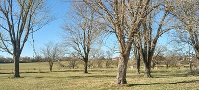IMG_20231110_142955444_HDR - Copy