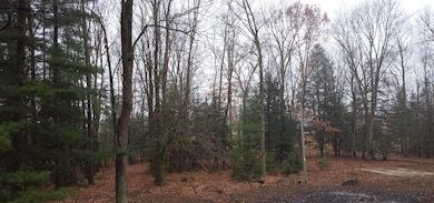 N10595 State Highway 45, Birnamwood, WI 54414 - photo 2